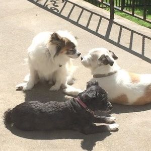 Meet your Posher, Nick a